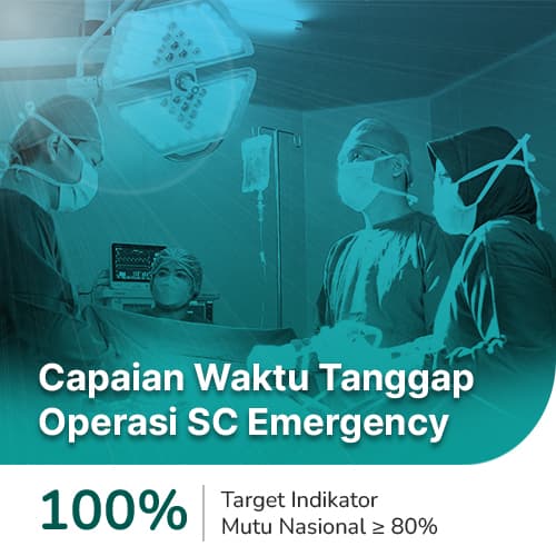 Grafik capaian indikator mutu