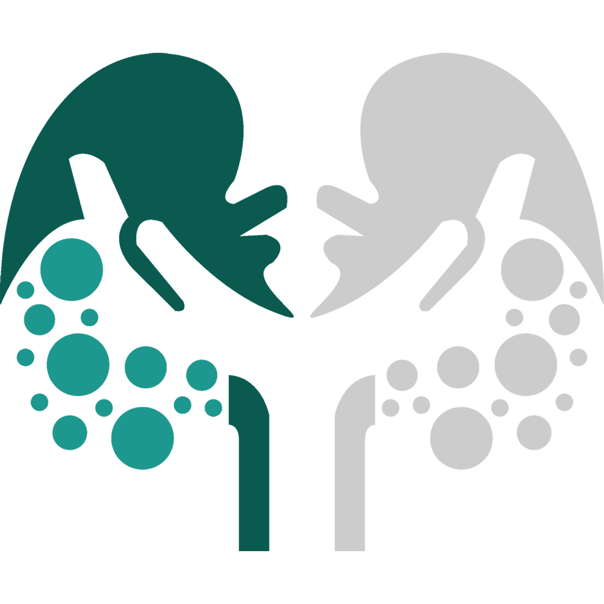 Kidney Centre